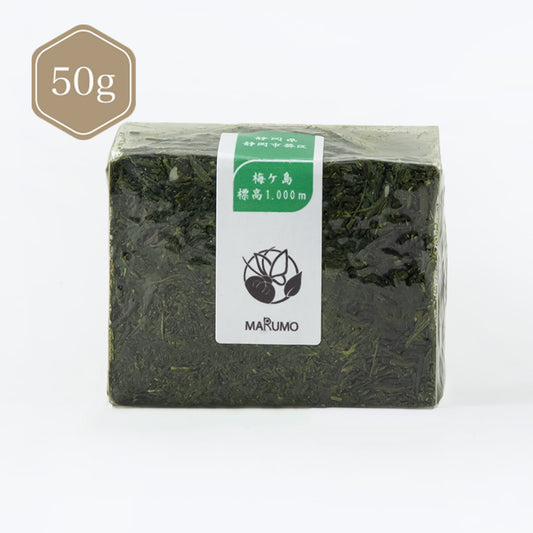 静岡県静岡市葵区梅ケ島+標高1,000m